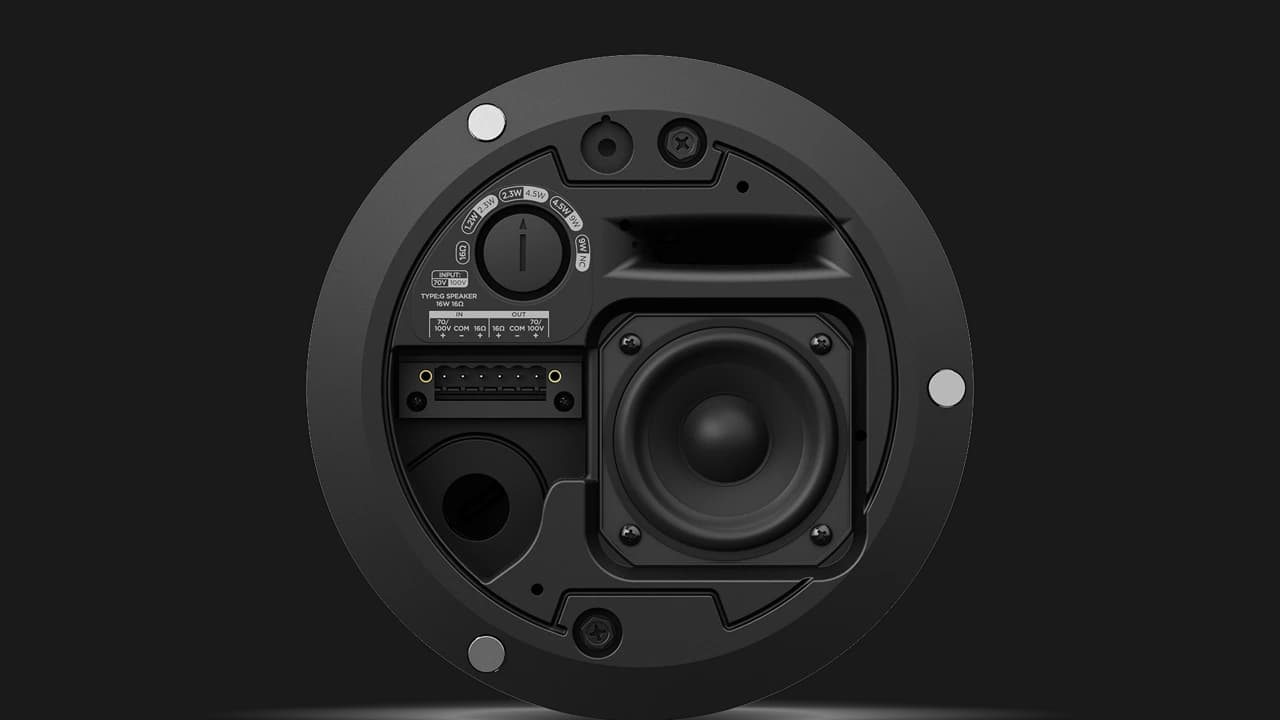 Bose DesignMax DM2C-LP, rear view showing woofer and connector