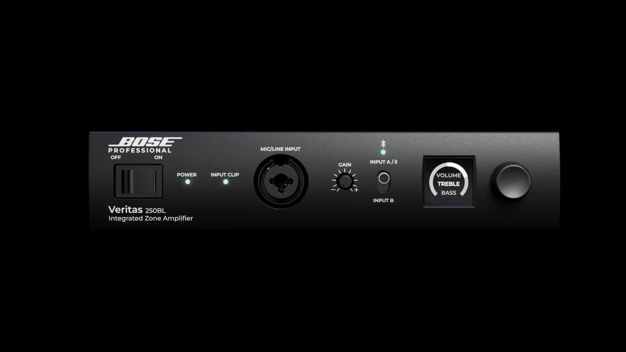 Bose Veritas 250BL, front panel view
