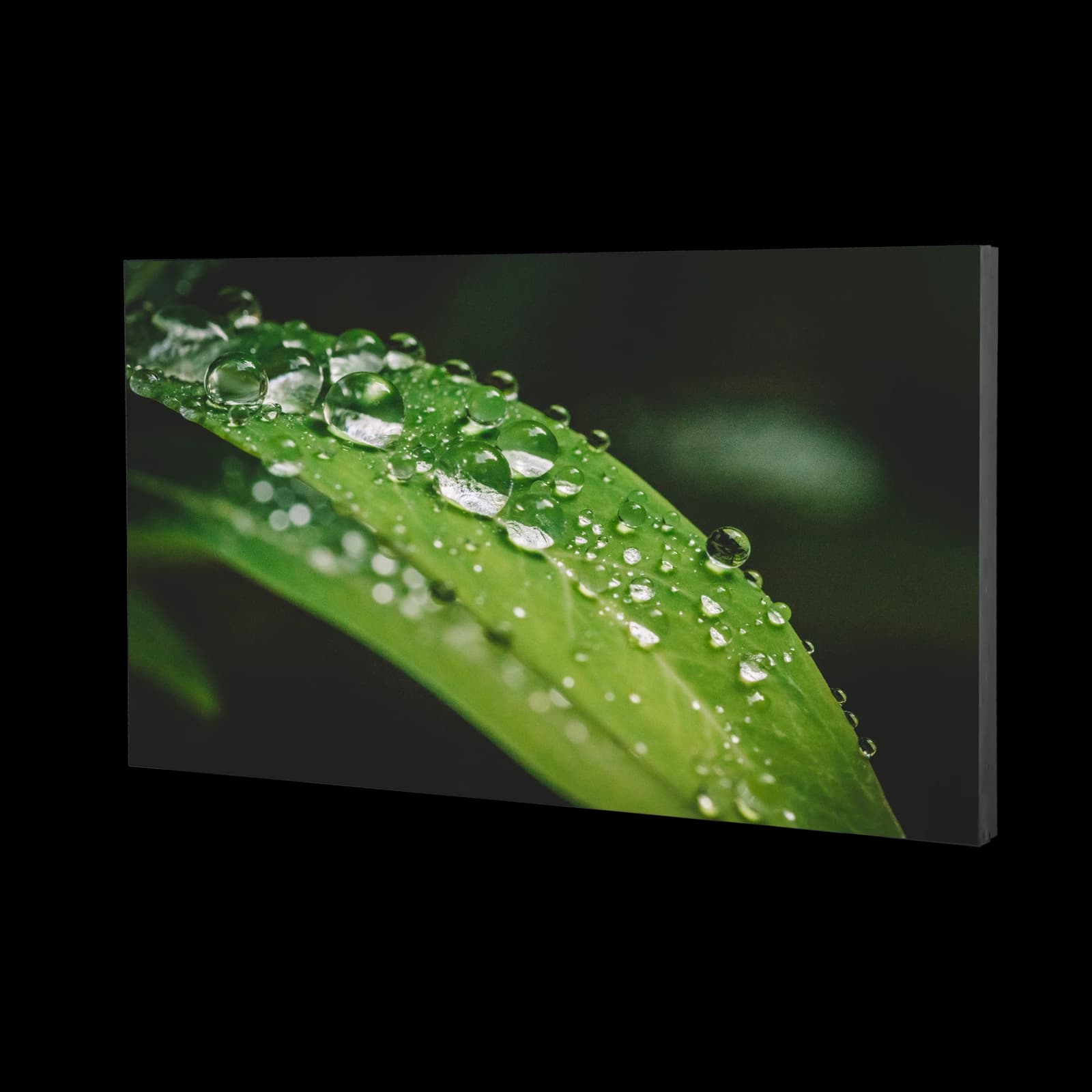 Dahua LS550UEH-UG LCD video wall display, single panel angled view