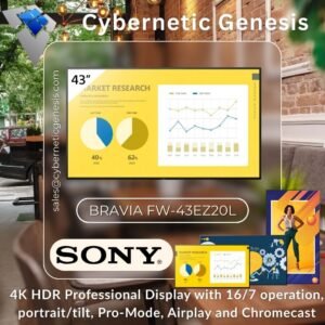Sony-FW-65EZ20L